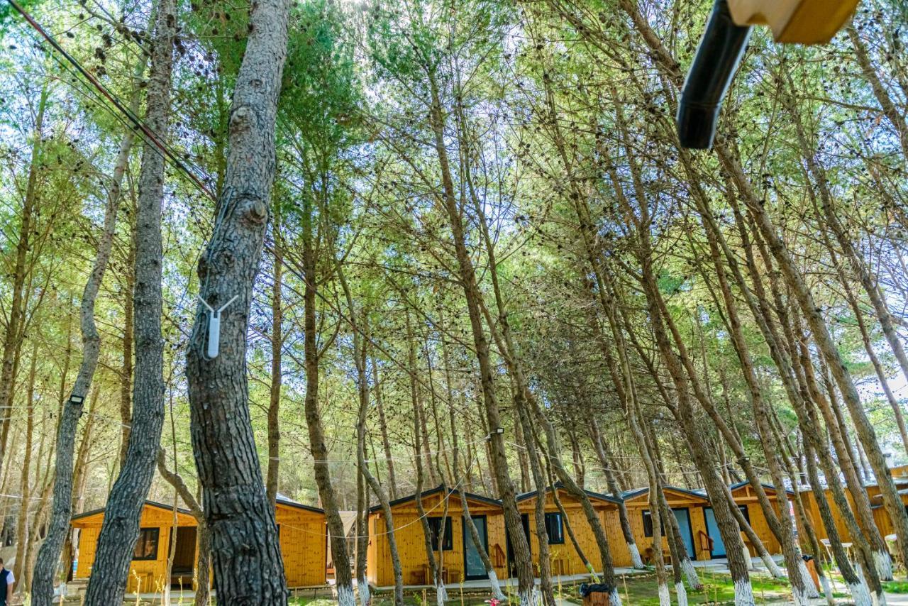 Ecuador Resort Zverneci エクステリア 写真