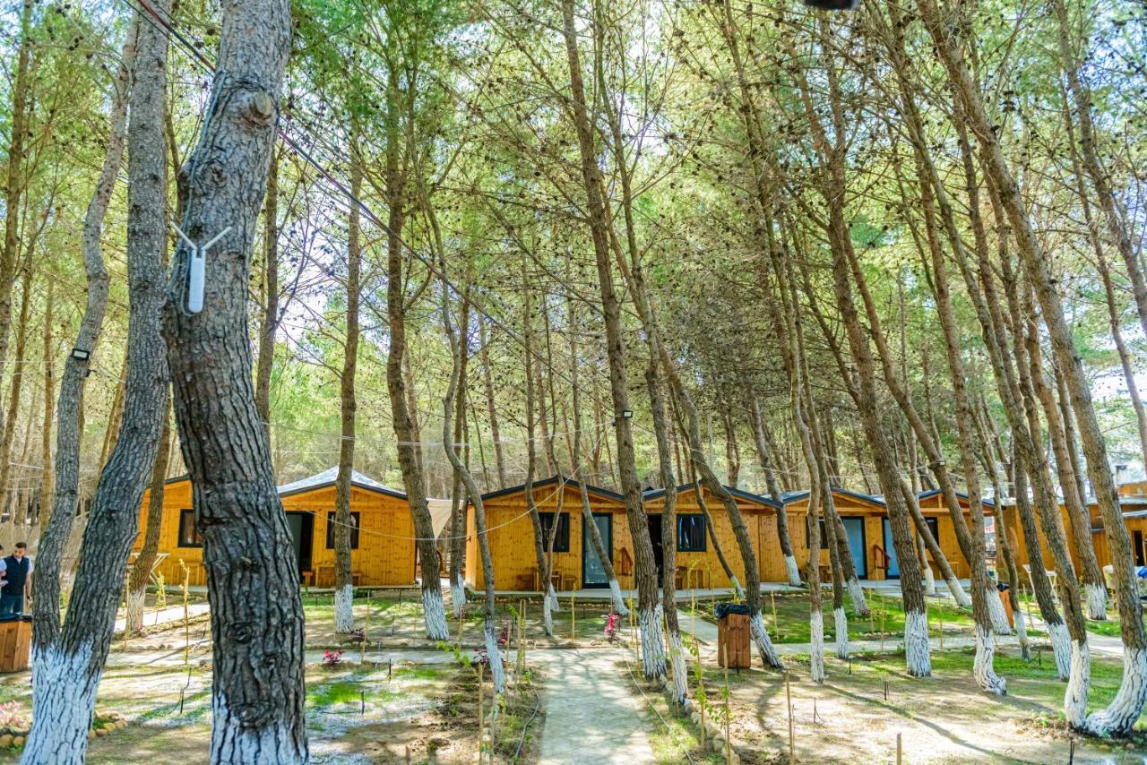 Ecuador Resort Zverneci エクステリア 写真